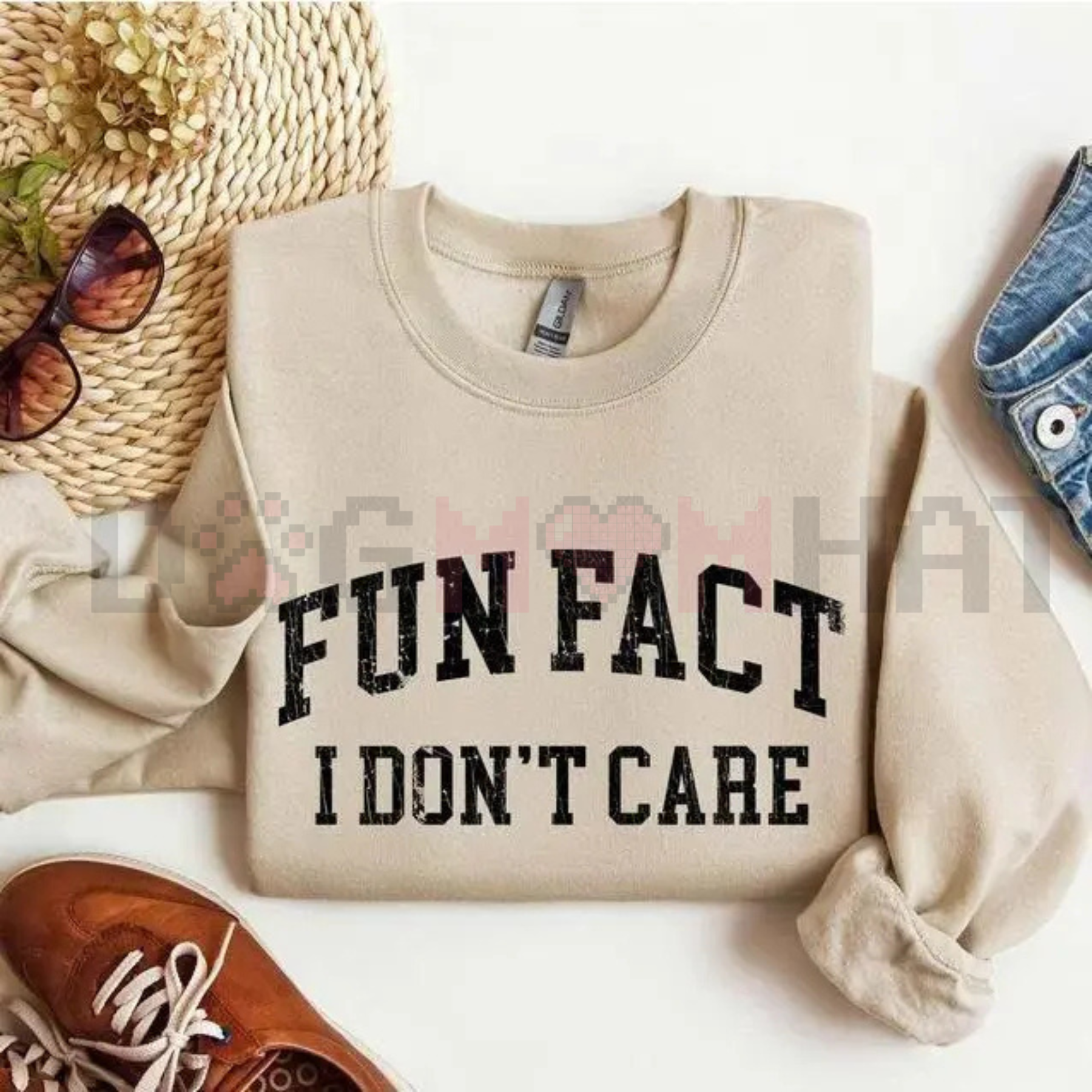 "Fun Fact: I Don't Care" Funny Sweatshirt